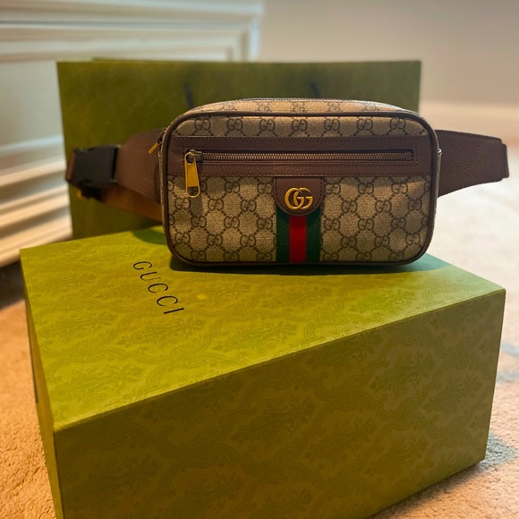 Gucci- Ophidia GG Belt Bag - Picture 1 of 2